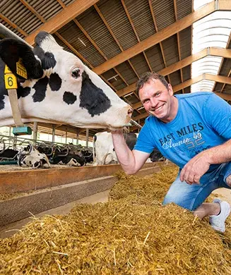 Landwirt Herr Keil mit einer Kuh im Stall der Familie