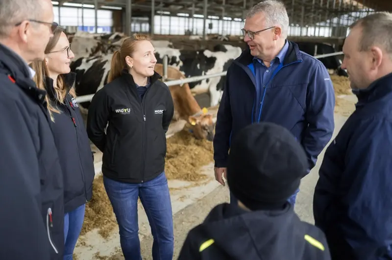 Austausch der Geschäftsfuehrung, Vorstandsvorsitzenden und Milcherzeugerberaterin der Molkerei mit einer Landwirtsfamilie im Kuhstall, im Hintergrund stehen Milchkuehe an der Futterstelle.