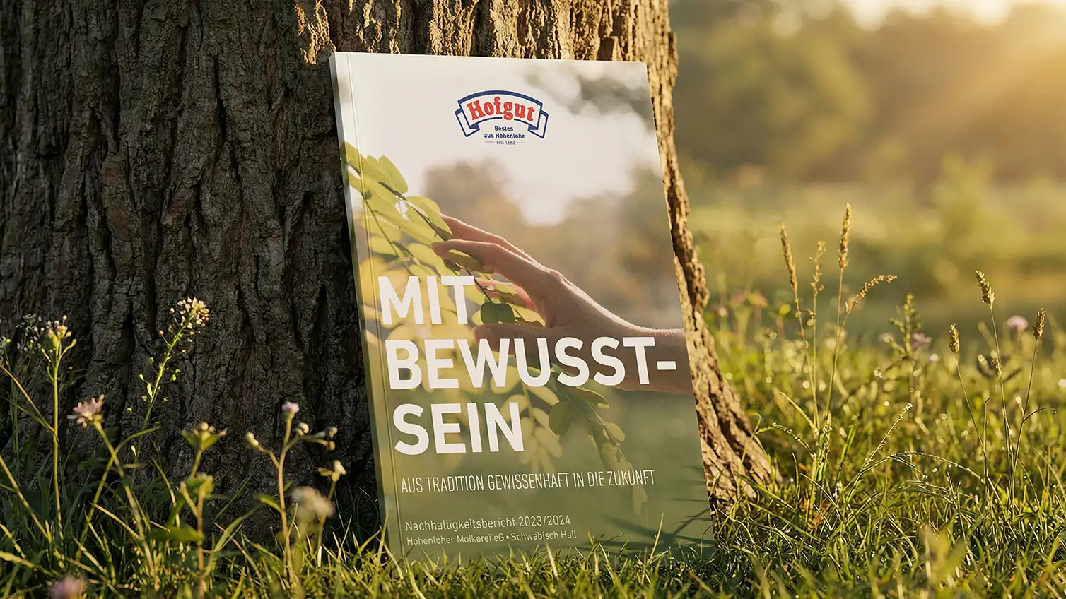 Der gedruckte Nachhaltigkeitsbericht 2023-2024 lehnt an einem Baum auf einer Wiese im Sonnenaufgang